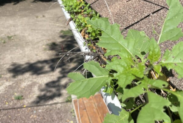 Gutter Services Near Me J&A Exterior