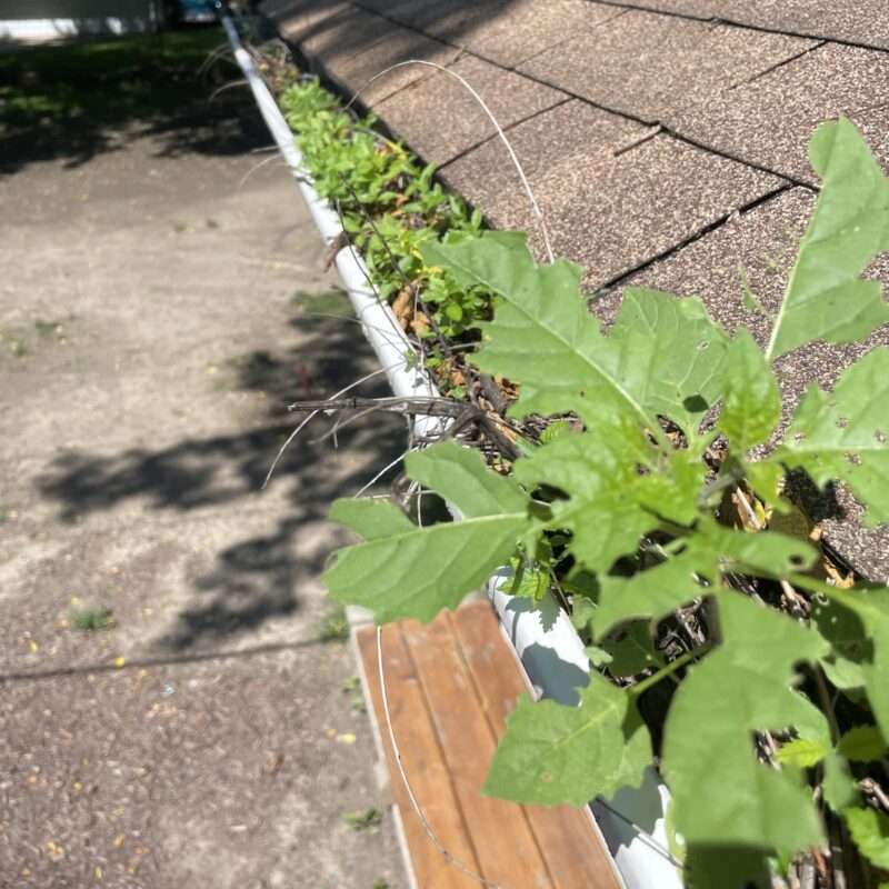 Gutter Services Near Me J&A Exterior