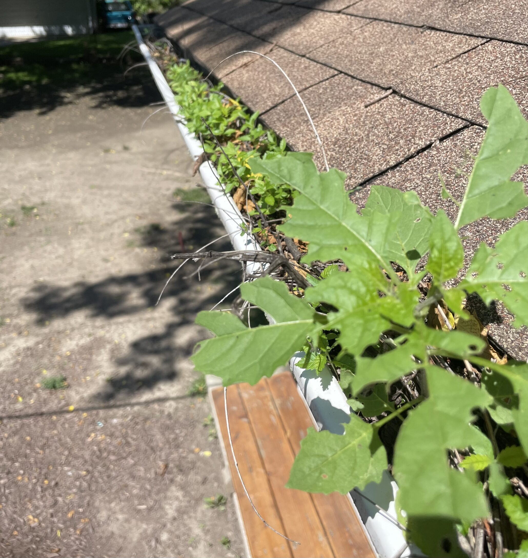 How often should I clean my gutters?