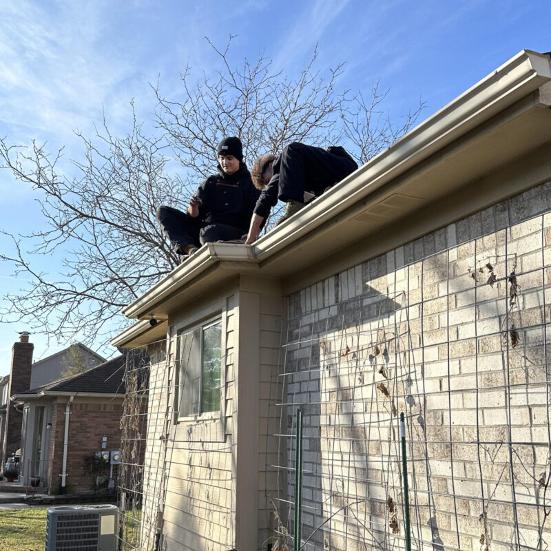 Local Gutter Cleaners on Roof