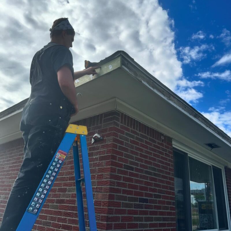 Fascia Board Damage Replacement