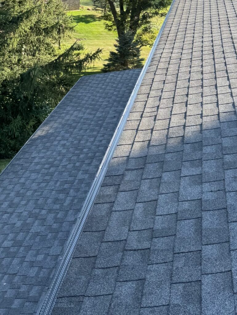 grey roof with black gutter guards