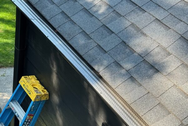 black sided home with black gutter guards and roof