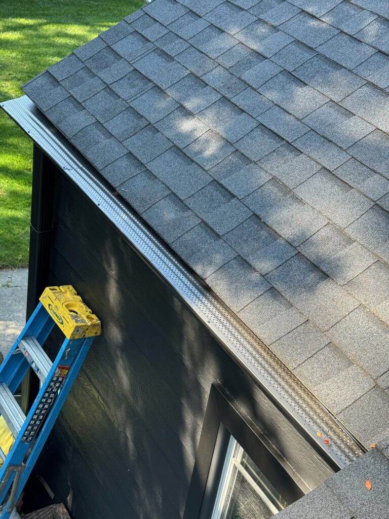 black sided home with black gutter guards and roof