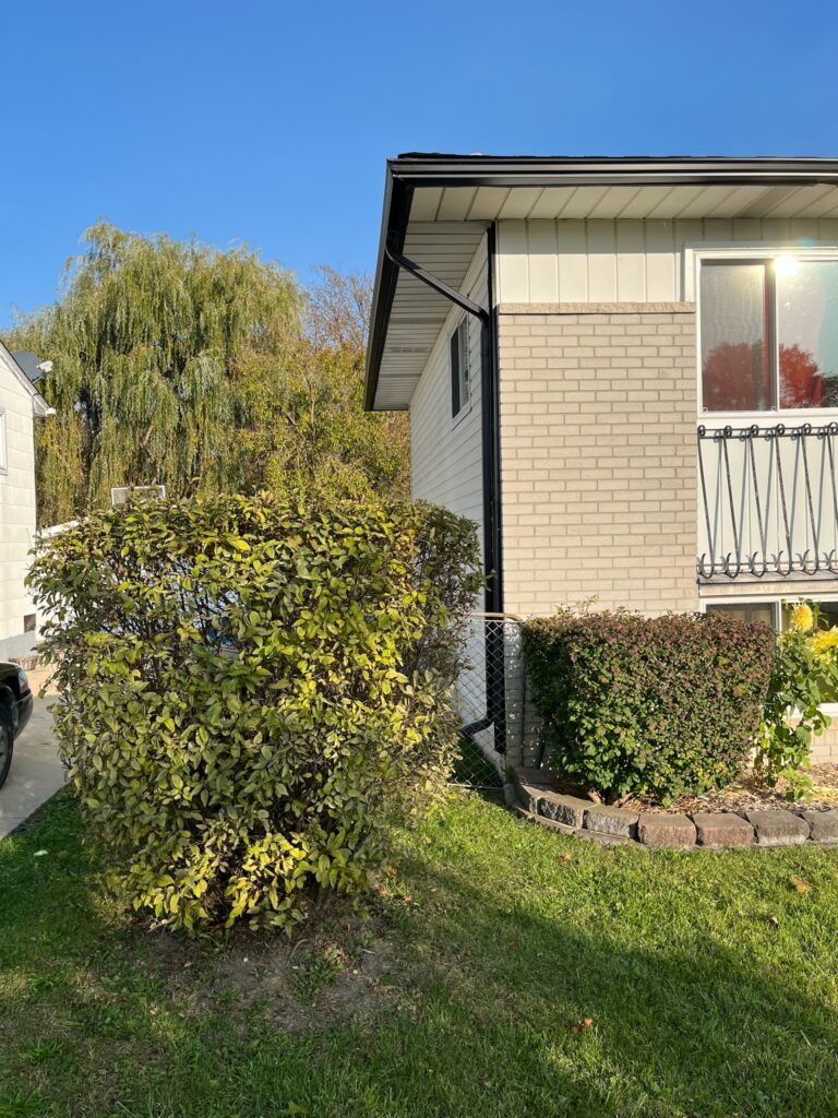 Water Dripping From Gutters