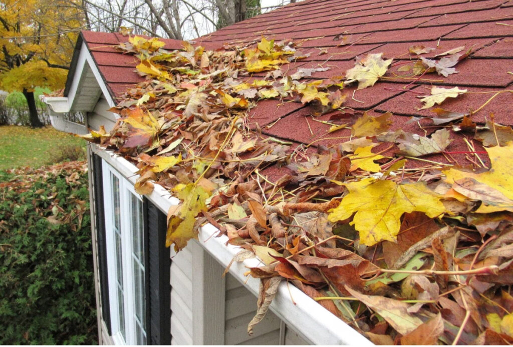 Clogged gutters full of leaves and debris.