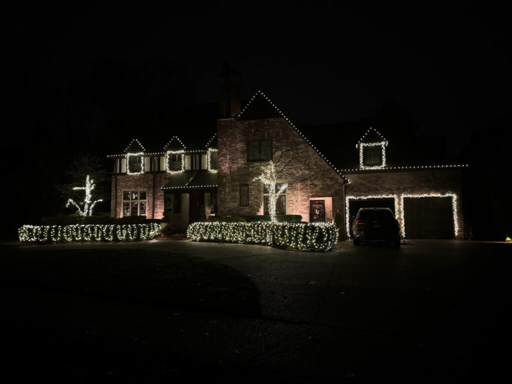 professional holiday light installation