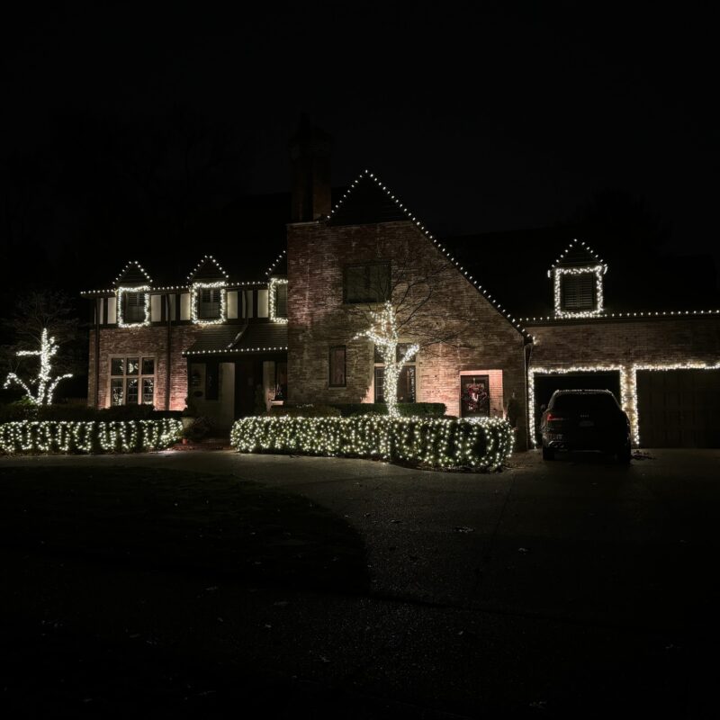 professional holiday light installation