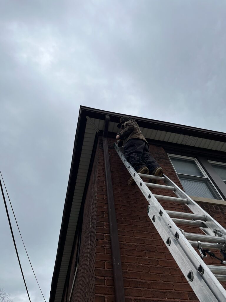 Man working on a ladder