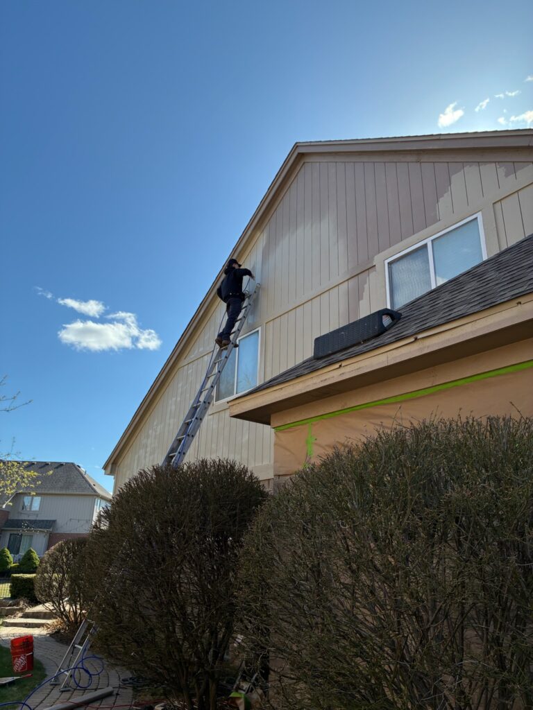 person painting on a ladder
