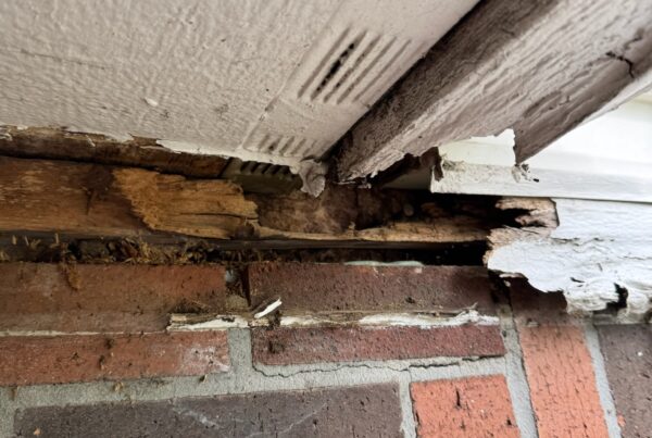 Rotted wood on red brick home