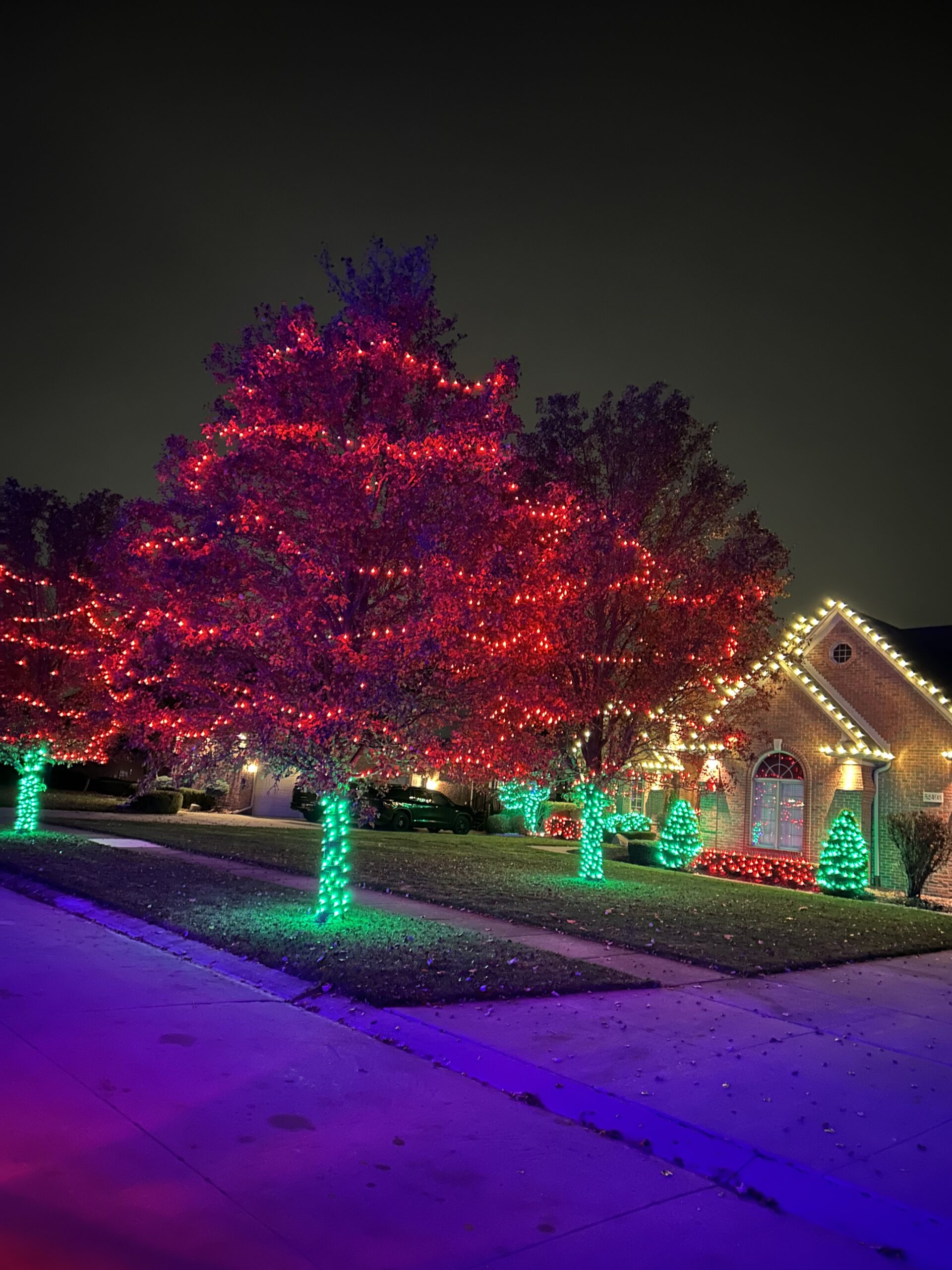 Don’t Get Left in the Dark: Final Days to Schedule Your Christmas Light Installation