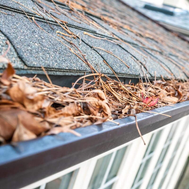 Clogged Gutters