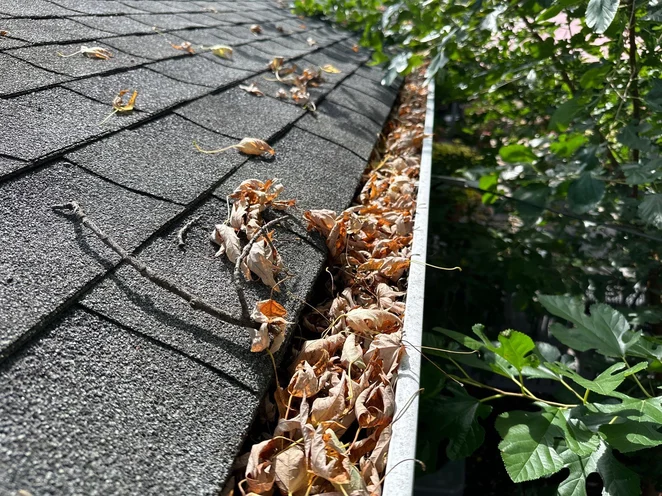 Clogged Gutter
