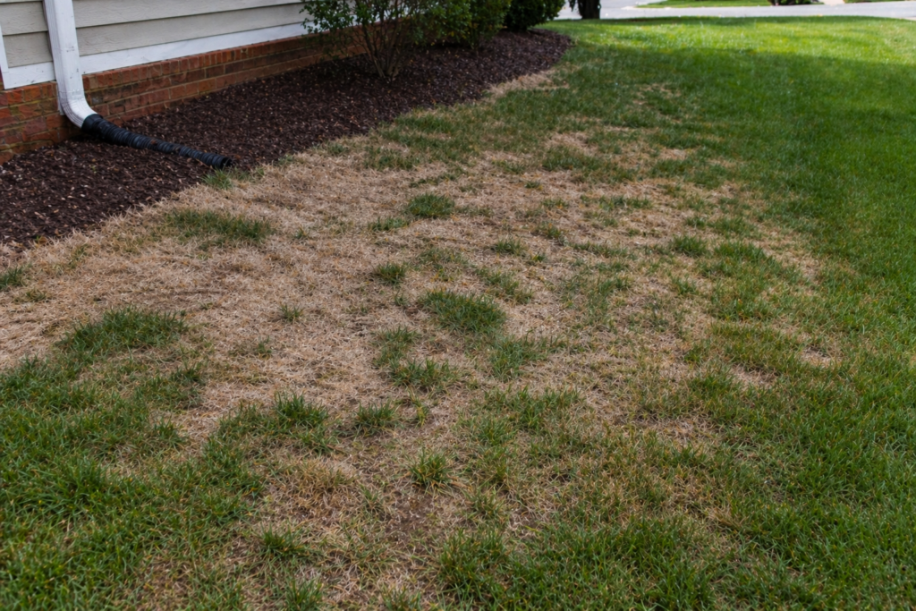 What Happens After 3 Storms With Bad Gutters?