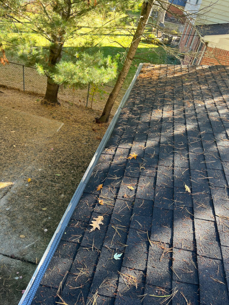 How Gutter Guards Protect Your Roof and Foundation