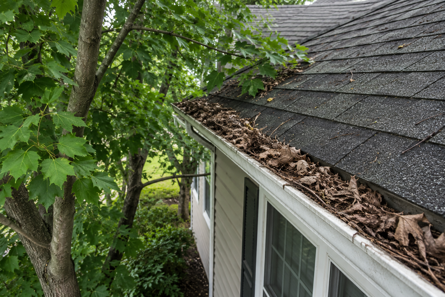 Why Certain Homes Clog Faster Than Others!